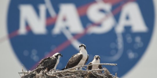 Penemuan Mengejutkan Terbaru NASA