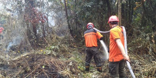 Luas Hutan yang Terbakar di Riau Capai 857 Hektare, Bengkalis Titik Paling Parah