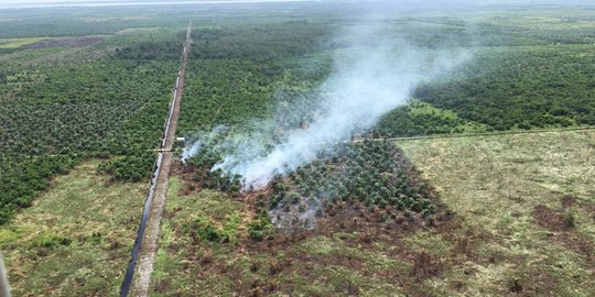 BMKG Deteksi 54 Titik Panas Kebakaran Hutan dan Lahan di Riau