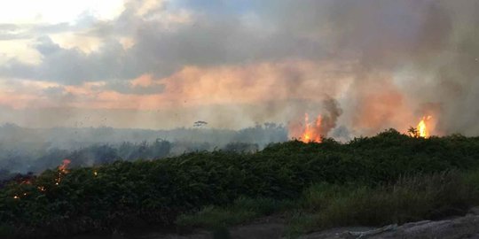Moeldoko: Riau Jadi Atensi Penanggulangan Karhutla