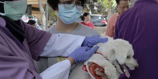KLB Rabies di Sumbawa, Kementan Kirim Bantuan Vaksin 14 Ribu Dosis
