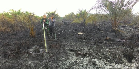 Kebakaran Hutan di Riau Sudah Mencapai 996 41 hektare 