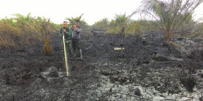 Kebakaran Hutan di Riau Sudah Mencapai 996,41 hektare, Paling Luas di Bengkalis