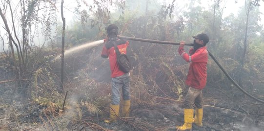 Luas Lahan Terbakar di Riau Capai 1.136 hektare, Terparah di Pulau Rupat