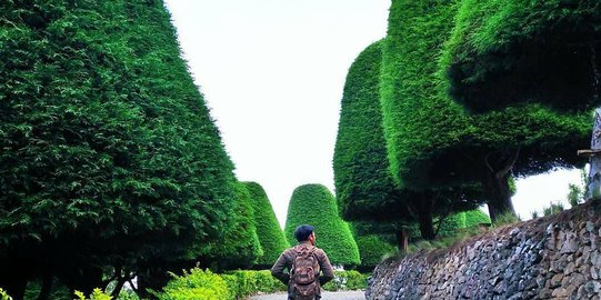 Bukit Jamur Rancabolang, Wisata Instagenik dengan Nuansa Beda di Ciwidey