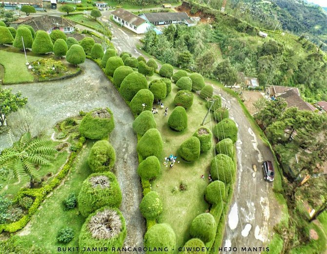 bukit jamur rancabolang