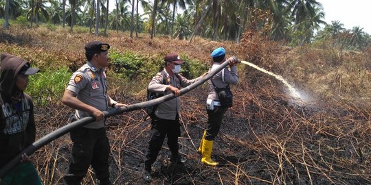 Kebakaran Hutan & Lahan di Indragiri Hilir Hanguskan 30 Hektare