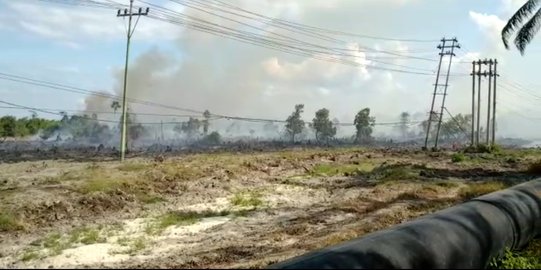 Lahan Konsesi PT Chevron di Dumai Terbakar, Kabut Asap Tebal