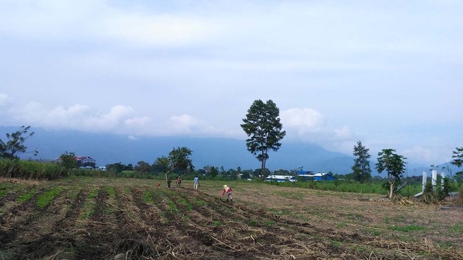 tanah milik prabowo di aceh