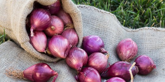 Bawang Merah Penawar Banyak Penyakit