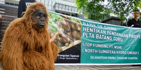 Berkostum Orangutan, Walhi Tolak PLTA Batangtoru di Depan Konjen China