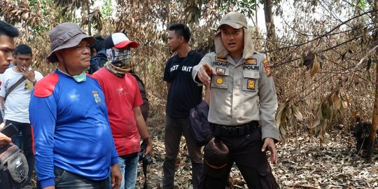 Dua Hektare Lahan di Pekanbaru Diduga Dibakar, Polisi Kejar Pelaku