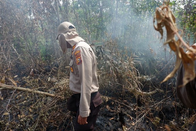 dua hektare lahan di pekanbaru terbakar