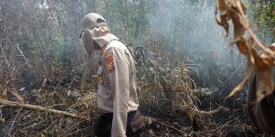 Polisi Selidiki Pemilik dan Terduga Pelaku Pembakaran 2 Hektare Lahan di Pekanbaru