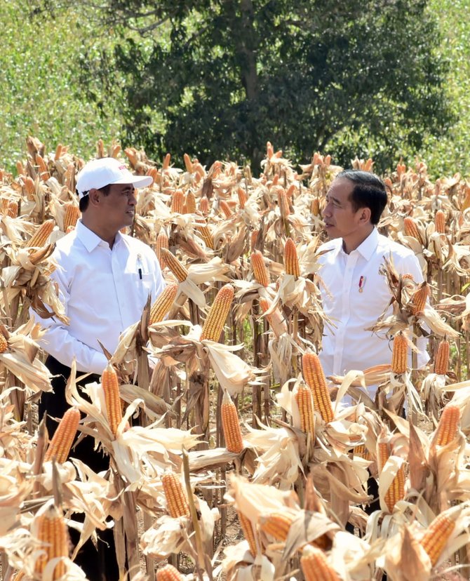 sektor pertanian kembali beri andil penurunan angka inflasi februari 2019