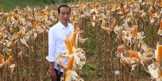 Bupati Bone Bolango Minta Pembangunan Jalan di Botutonuo ke Presiden Jokowi