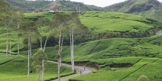 Jalan Tol Trans Jawa Permudah Akses ke Ratusan Destinasi Cantik, Sudah Siap Road Trip?  Â 