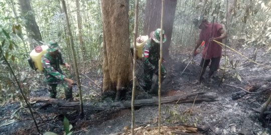 Bersama Warga Perbatasan, TNI Padamkan Karhutla Pakai Penyemprot Rumput