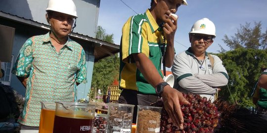 Minyak Kelapa Sawit Dinilai Jadi Solusi Tekan Stunting di Indonesia