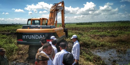 Mentan Optimalisasi 45 Ribu Lahan Rawa Lebak di Wajo