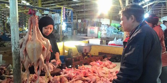 Kementan Soal Anjloknya Harga Ayam: Karena Permintaan Menurun