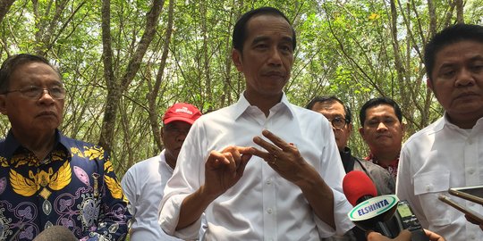 Genjot Produksi Karet Petani Sumsel, Presiden Jokowi Beri Bantuan Pupuk