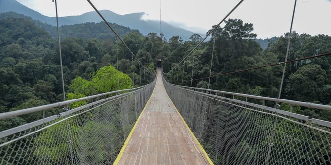 Indonesia Resmi Punya Jembatan Gantung Terpanjang Se-Asia Tenggara, Ada di Mana?