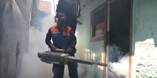 Membasmi Jentik dan Nyamuk DBD dengan Fogging