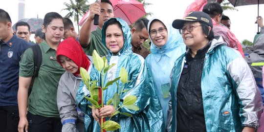 Indonesia Power Lakukan Aksi Tanam Mangrove Bareng Ibu Iriana Jokowi