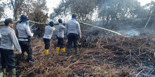 Sejak Januari, Luas Hutan & Lahan Terbakar di Riau Mencapai 1.711 Hektare