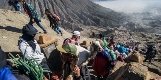 6 Paket Wisata Bromo yang Tidak Boleh Terlewatkan, Nikmati Alam Indah