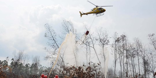 Tangani Karhutla di Riau, 10 Helikopter dan 1 Cassa Dikerahkan