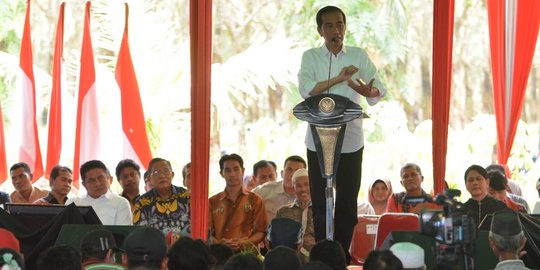 Presiden Jokowi Berencana Bentuk 2 Kementerian Baru, Investasi dan Ekspor