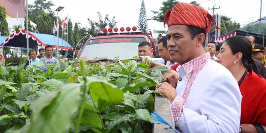 Mentan Amran Ingin Kopi Toraja Makin Mendunia, Pemerintah Bantu Petani Bibit Unggul