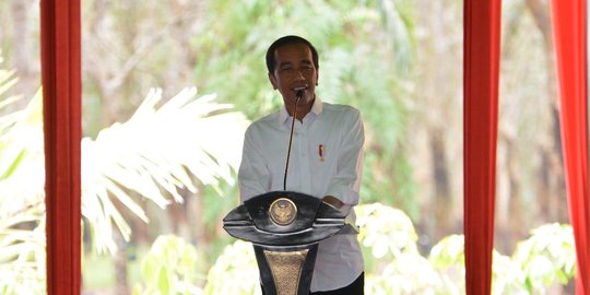 Ini Pesan Jokowi Saat Bertemu Siti Aisyah di Istana