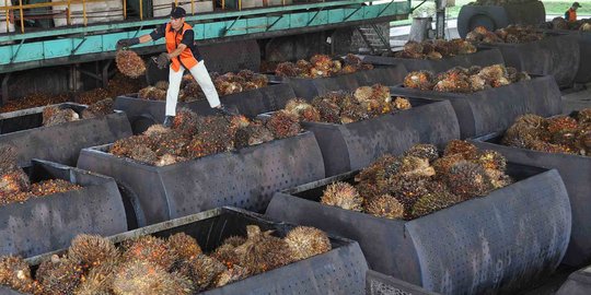 Pertamina Bakal Gunakan CPO Untuk Genjot Produksi Minyak Sumur Tua