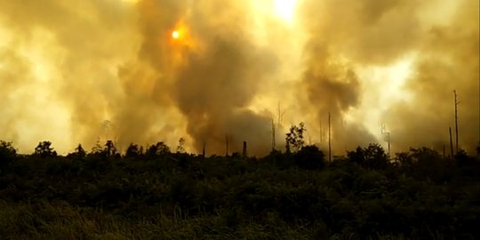 Kapolda Sumsel Akui Kesulitan Ungkap 2 Kasus Karhutla Melibatkan Korporasi