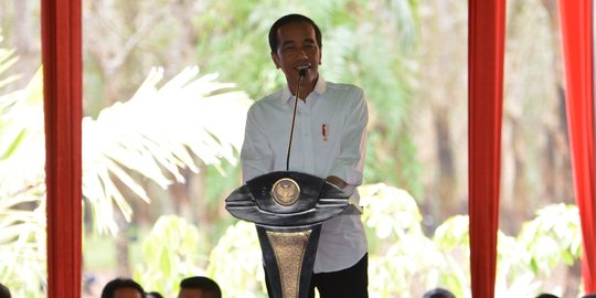 Jokowi soal Boeing 737 Max 8 Dilarang Terbang: Keselamatan Penumpang Nomor Satu