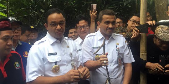 Saat Anies Panen Duku di Condet