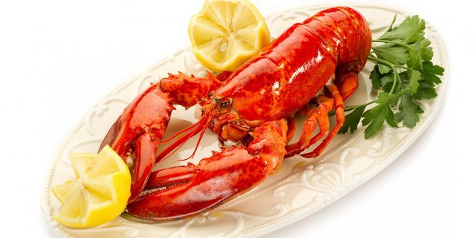 Sebulan, Pentagon Habiskan Anggaran Rp 65 Miliar untuk Lobster dan Kepiting