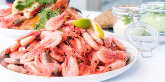 Cara Tepat Menyimpan Udang di Dalam Kulkas