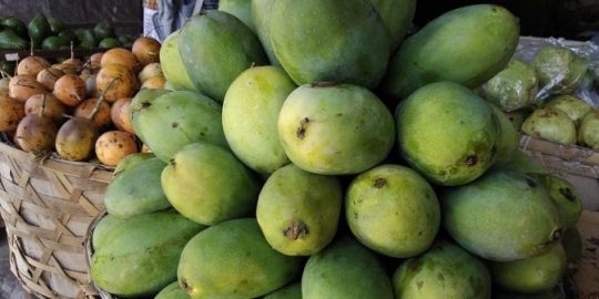 7 Jenis Mangga Paling Enak di Indonesia, Rasa Manisnya Manjakan Lidah