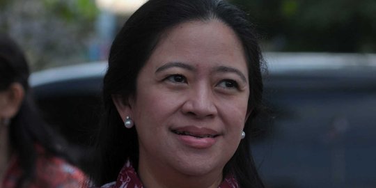 Puan Maharani Prihatin Romi Jadi Tersangka, Pengganti di TKN Masih Dibahas