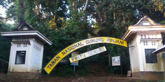 5 Orang di Air Terjun Tiu Kelep Dievakuasi, 1 Korban Tertimpa Batu