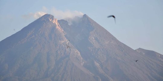 Gunung Merapi Muntahkan Lava Pijar Sebanyak 3 Kali