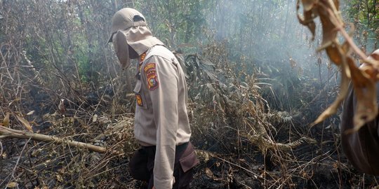 2.038 Hektare Lahan di Riau Terbakar, Kabut Asap Kepung Sejumlah Wilayah