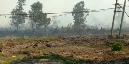 30 Hektare Lahan PT TSM Terbakar di Indragiri Hulu