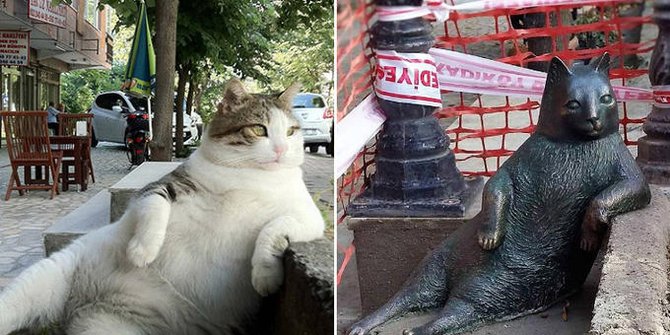Harmoni Penduduk Istanbul dengan Kucing