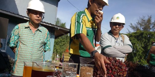 Pengusaha Dukung Pemerintah Gugat Eropa Terkait Diskriminasi Kelapa Sawit