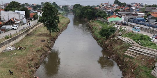 Pembebasan Lahan Normalisasi Kali Ciliwung Ditargetkan Tuntas Tahun Ini